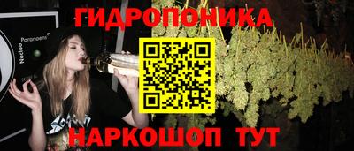 мдма Сланцы